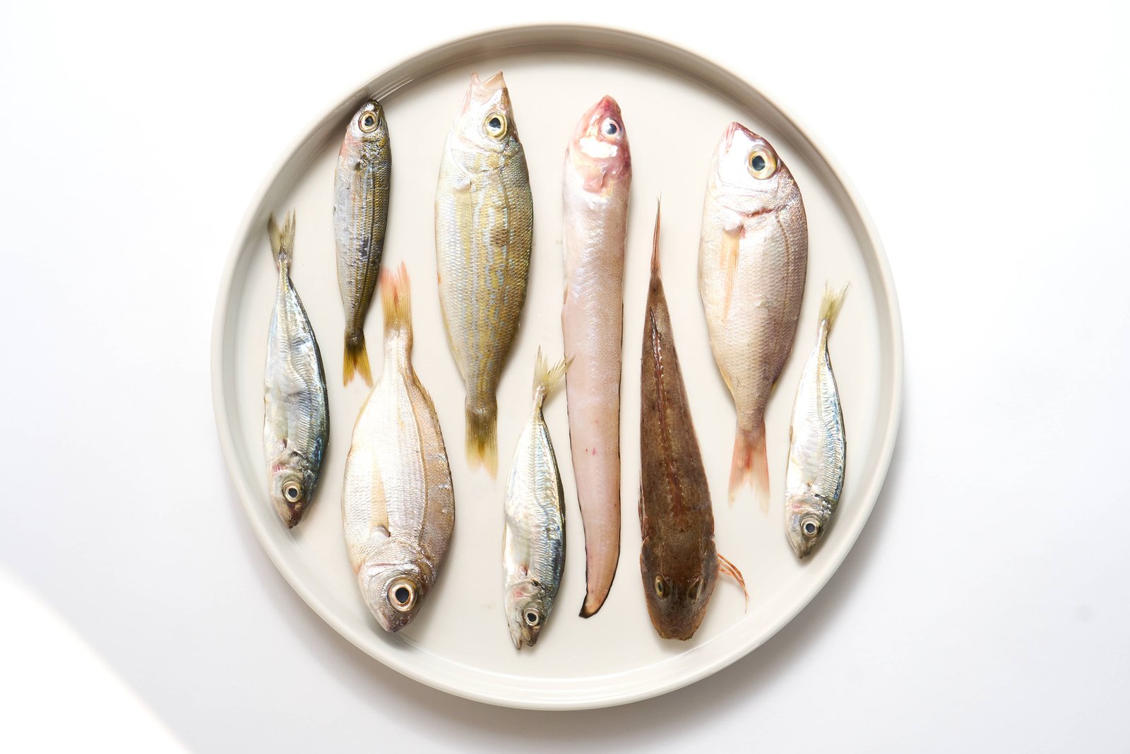 Piatto della cucina di mare e di terra di Nemo Restaurant a Salerno, foto 3